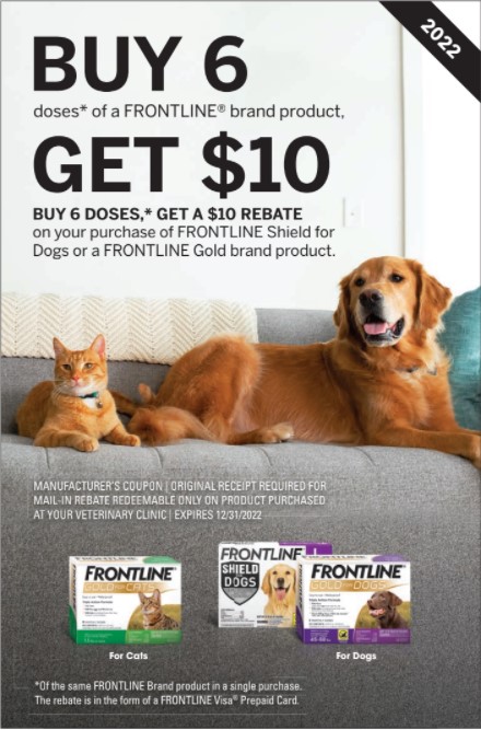 frontline-gold-for-cat-and-kitten-over-3lb-animal-hospital-of